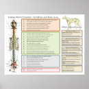 Search for chiropractic art Spine