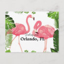 Search for flamingo postcards Pink flamingos