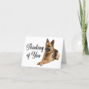 Search for german shepherd dog Cute