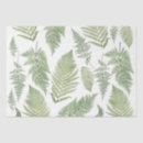 Search for leaf plant tissue paper Fern