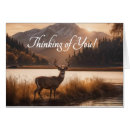 Search for wildlife get well cards Thinking of you