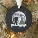 Search for reindeer with santa sleigh ornaments Snow