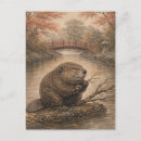 Search for landscape postcards Nature