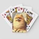 Search for pomeranian gifts Puppy