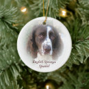 Search for english springer spaniel ornaments Dog