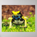 Search for frog posters Yellow