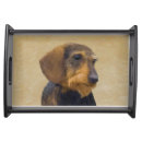 Search for dachshund serving trays puppy