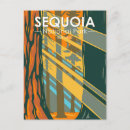 Search for giant postcards Sequoia national park