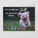 Search for funny real estate postcards Dog