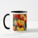 Search for holland mugs Green