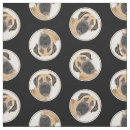 Search for boerboel Dog