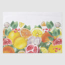 Search for citrus fruit tissue paper Watercolor