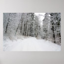 Search for snow covered trees posters Pine
