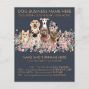 Search for pet sitting marketing materials Grooming