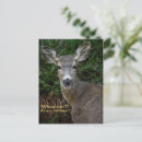 Search for hunting birthday cards Funny