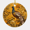 Search for pheasant ornaments Nature
