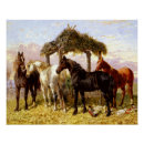 Search for 1800s posters Rustic