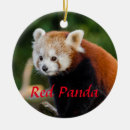 Search for china ornaments Red panda