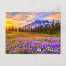 Search for mount washington postcards Mount rainier national park