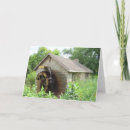 Search for wildlife get well cards Photography