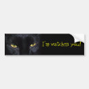Search for black cat bumper stickers Kitty