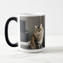 Search for funny cat mugs Photo collage