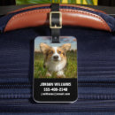 Search for corgi luggage tags Queen elizabeth's
