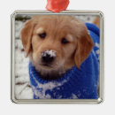 Search for golden retriever ornaments Snow