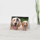 Search for golden retriever thank you cards Canine