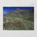 Search for switzerland postcards Sky