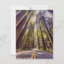 Search for giant postcards Adventure