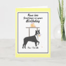 Search for boston terrier birthday Dogs
