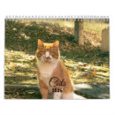 Search for funny cat calendars 2026