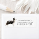 Search for border collie return address labels Watercolor