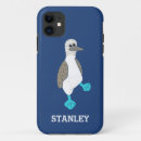 Search for blue footed booby Galapagos islands