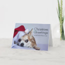 Search for new zealand christmas cards Photography