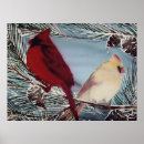 Search for male female cardinal art Winter