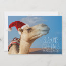 Search for hump day camel santa cards Humor