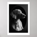 Search for weimaraner gifts Animals