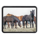 Search for horse trailer hitch covers Farm animals