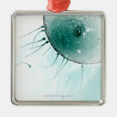 Search for medical ornaments Small business