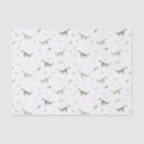 Search for dinosaur tissue paper Baby