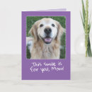 Search for golden retriever mothers day cards Dog