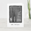 Search for elephant birthday cards Age is irrelephant