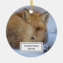 Search for curling ornaments Wildlife
