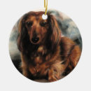 Search for long haired dachshund ornaments Puppy