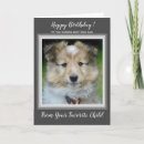 Search for dad birthday cards From the dog