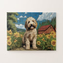 Search for labradoodle puzzles Puppy