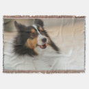 Search for shelties blankets Shelty