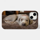 Search for weimaraner iphone cases Puppy